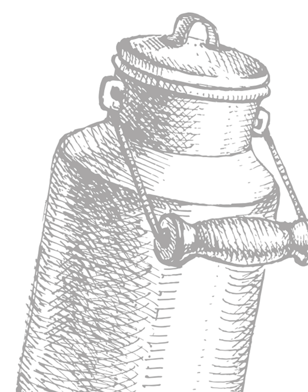 Ilustración de fondo